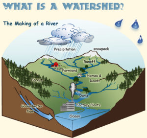 What is a Watershed? – South St. Louis County Soil & Water